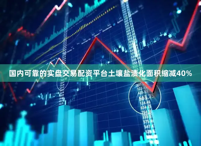国内可靠的实盘交易配资平台土壤盐渍化面积缩减40%